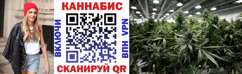 кракен как войти darknet наркотические препараты Бошки марихуана Amnesia Ногинск